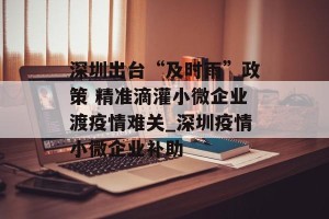 深圳出台“及时雨”政策 精准滴灌小微企业渡疫情难关_深圳疫情小微企业补助