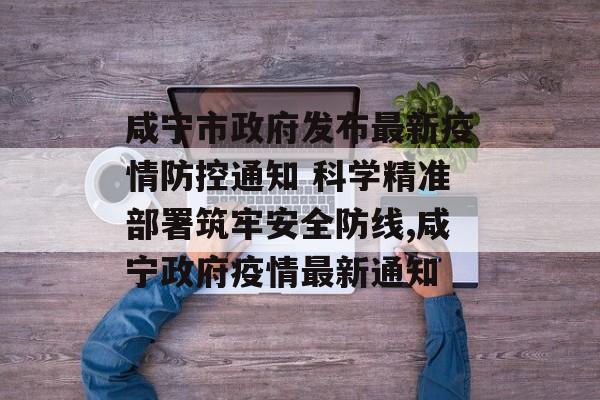 咸宁市政府发布最新疫情防控通知 科学精准部署筑牢安全防线,咸宁政府疫情最新通知